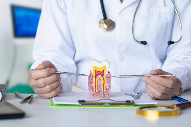 Best Emergency Dental Care for Sports Injuries in Eureka, MT